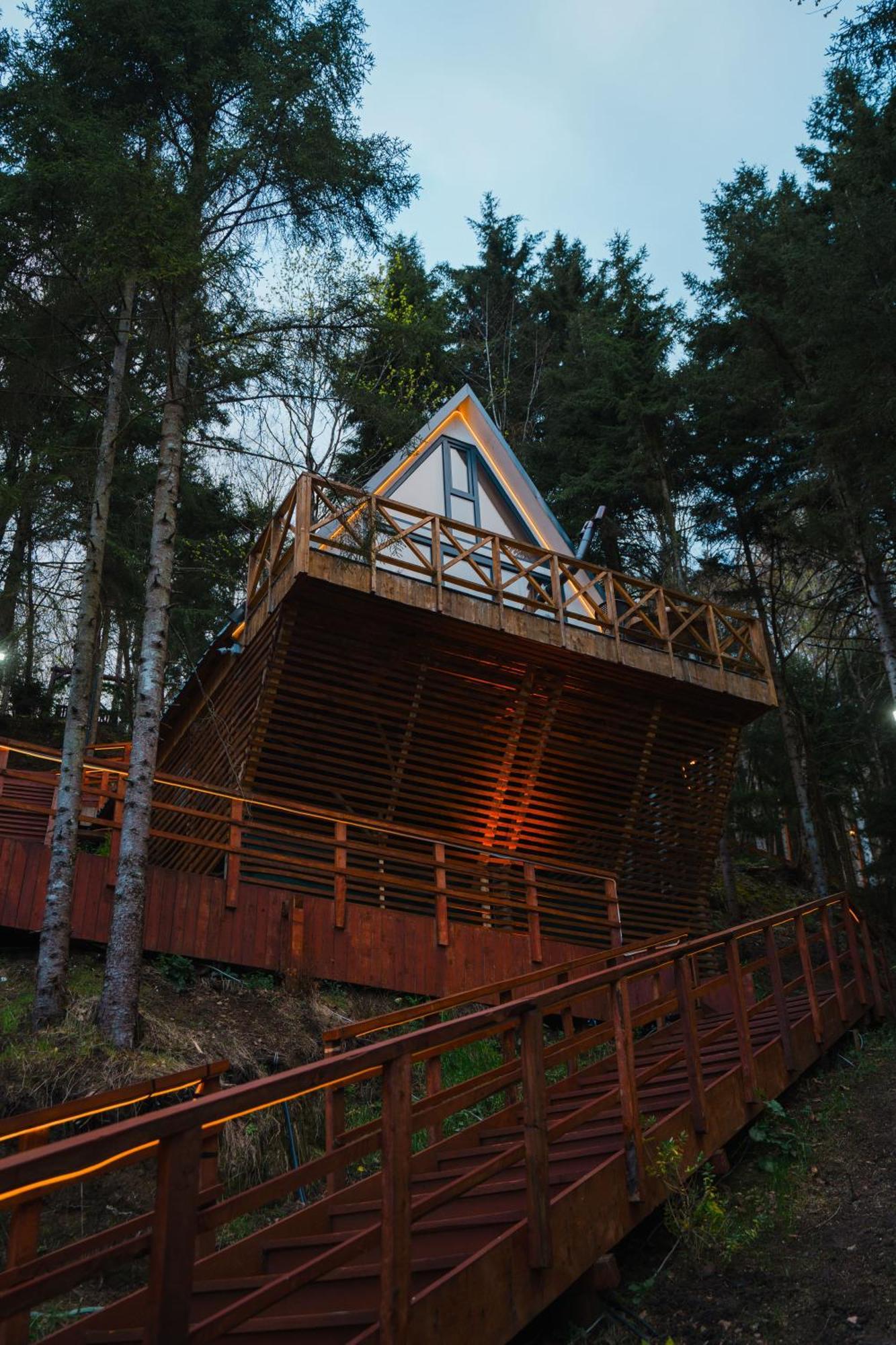 Case de vacanță Montana *